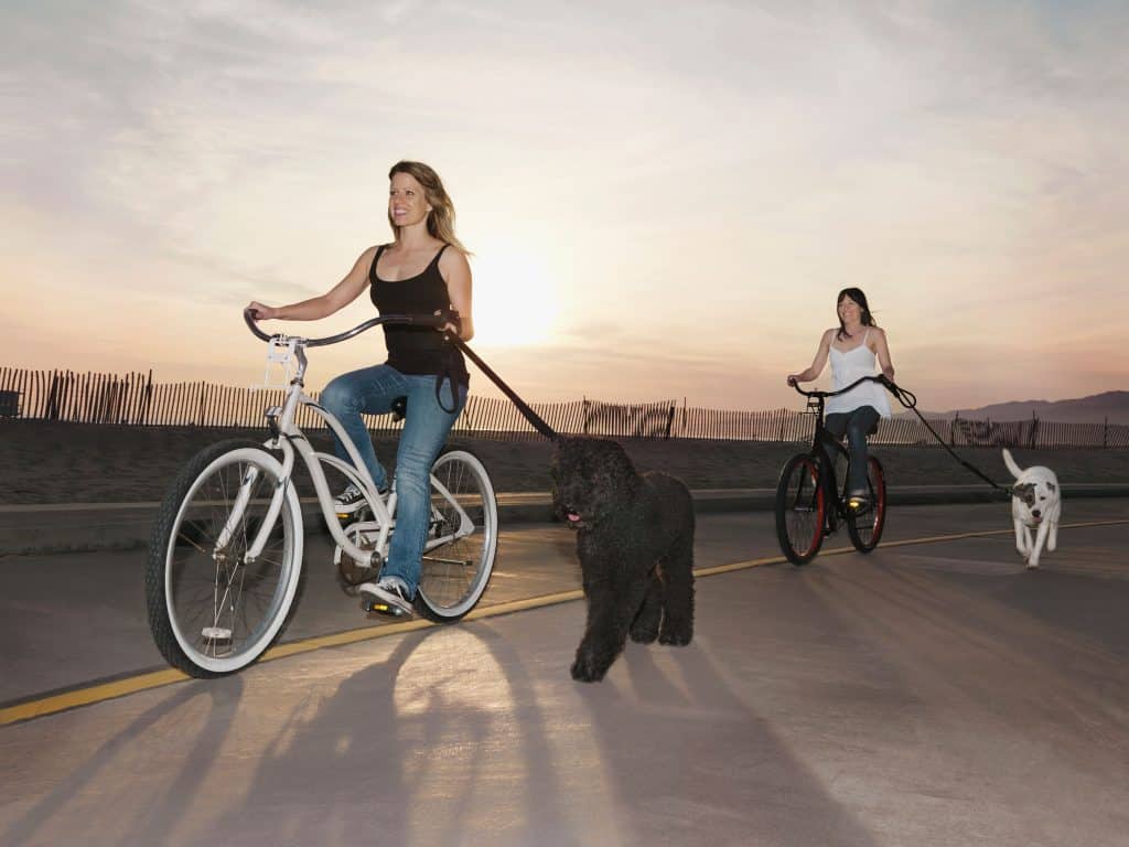 How to Walk Your Dog While Riding a Bike