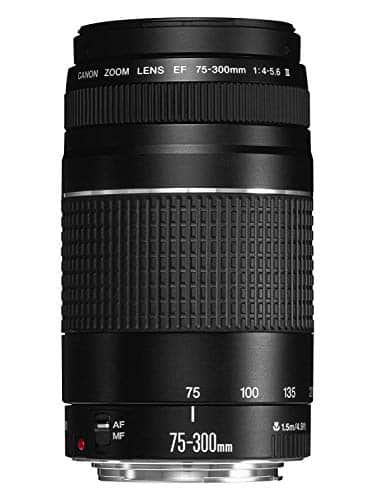 Best Camera Lens for Motorcycle Photography