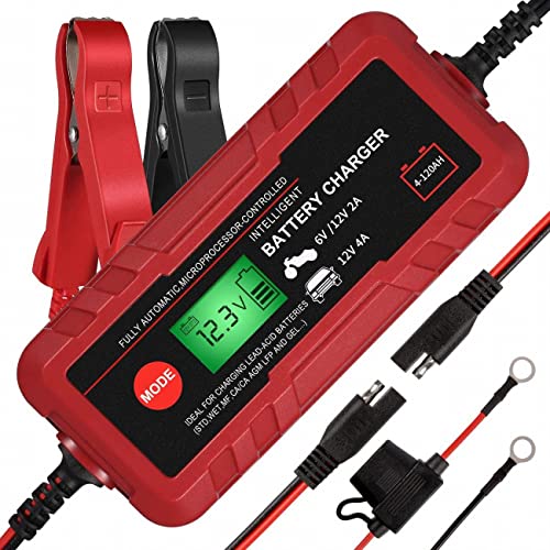 Best Charger Maintainer for Agm Motorcycle Batterys