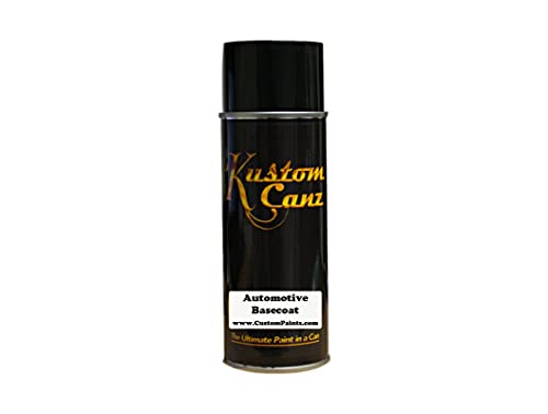 Best Spray Paint for Motorcycle Tank