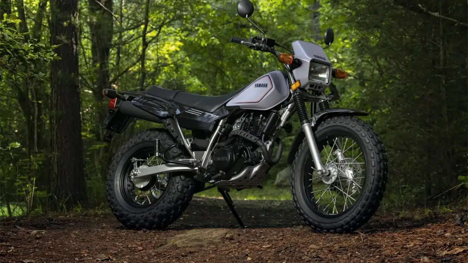 TW200 vs XT250