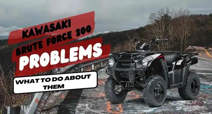 Kawasaki Brute Force 300 Problems